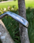 Paradise P-1 Prototype Irons - Full Set: 3 - PW