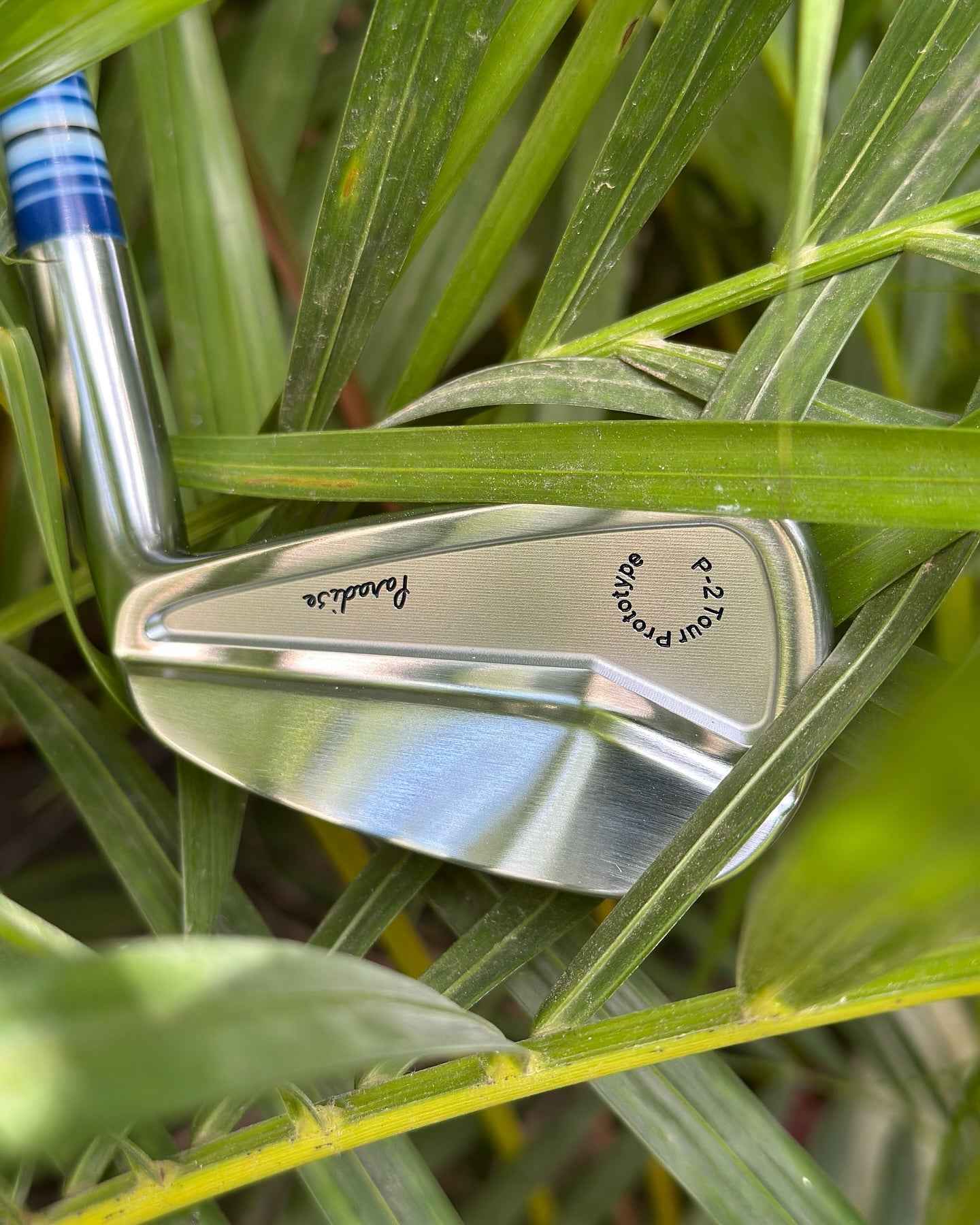 Paradise P-2 cavity back iron face