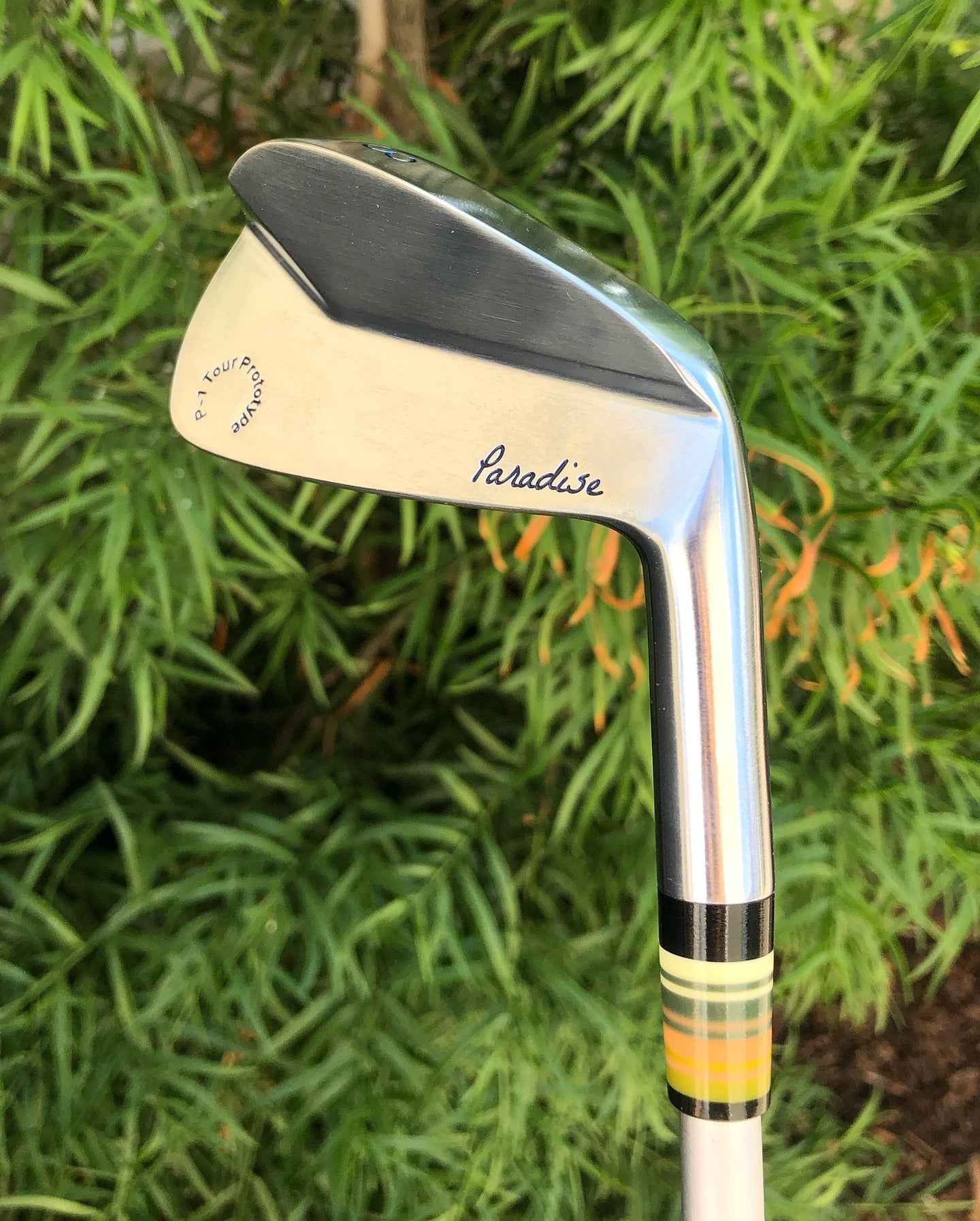 Paradise P-1 iron back blade profile