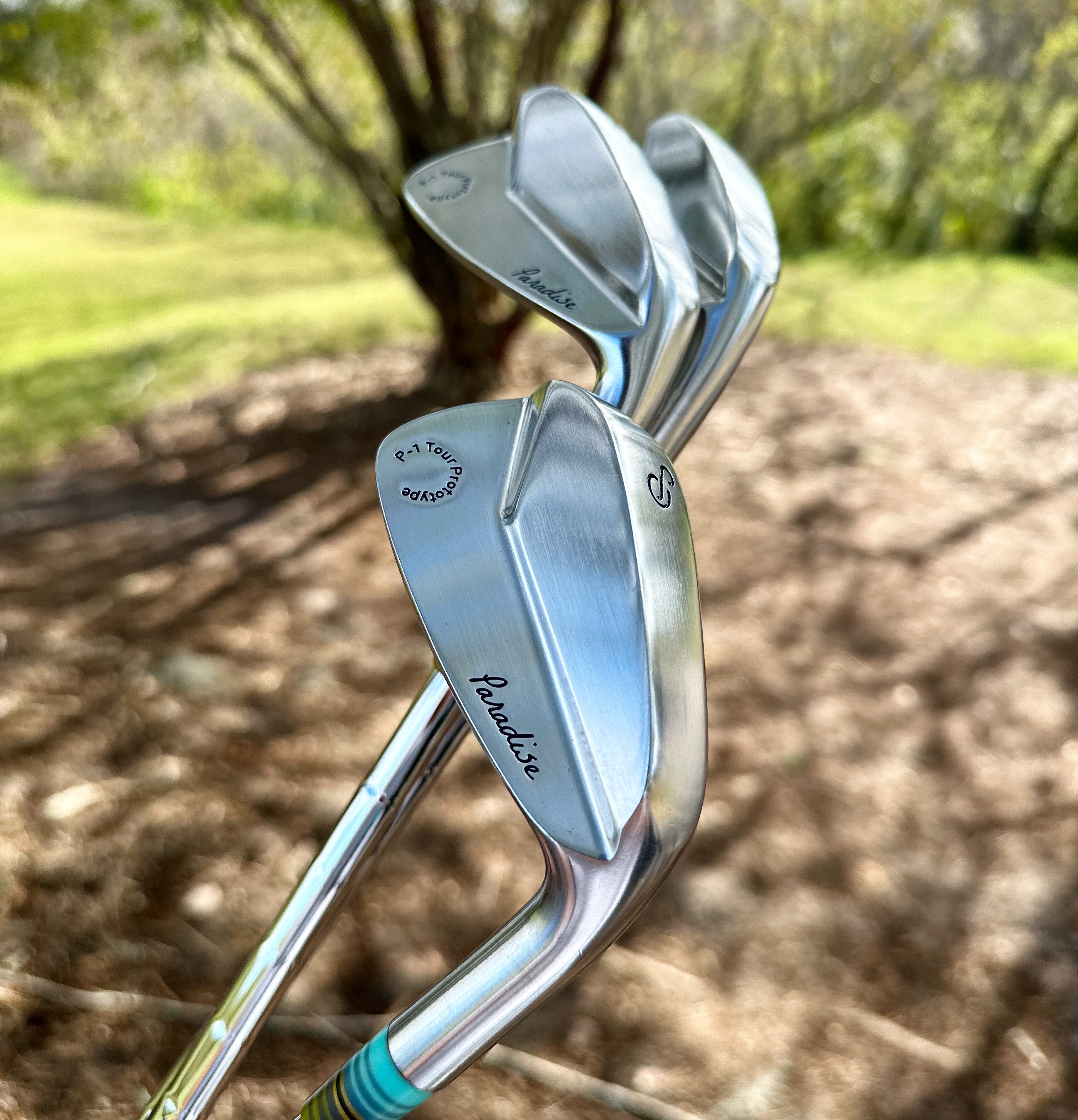 Paradise P-1 Prototype Irons - Full Set: 3 - PW