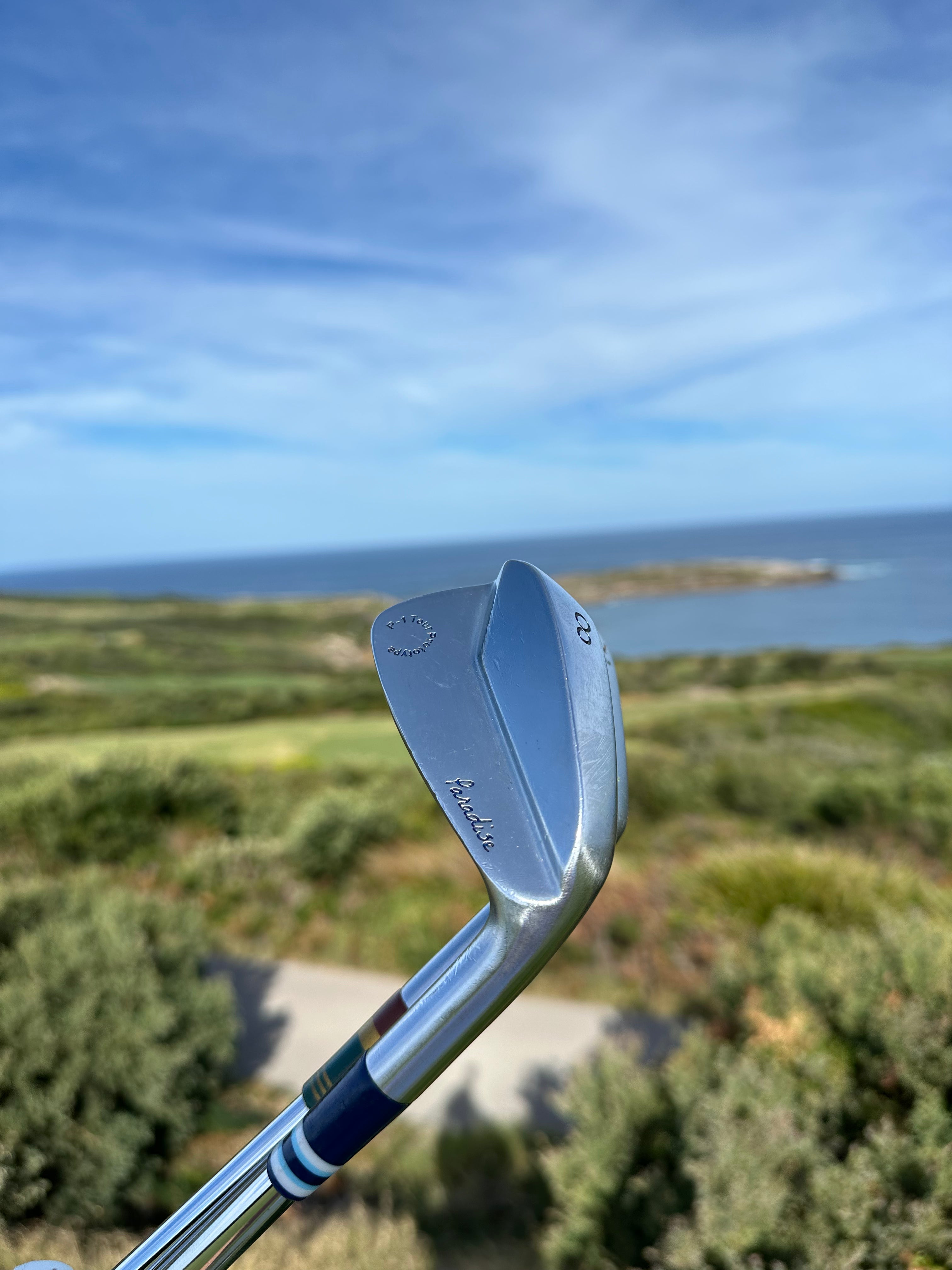 Paradise P-1 Prototype Irons - Full Set: 3 - PW