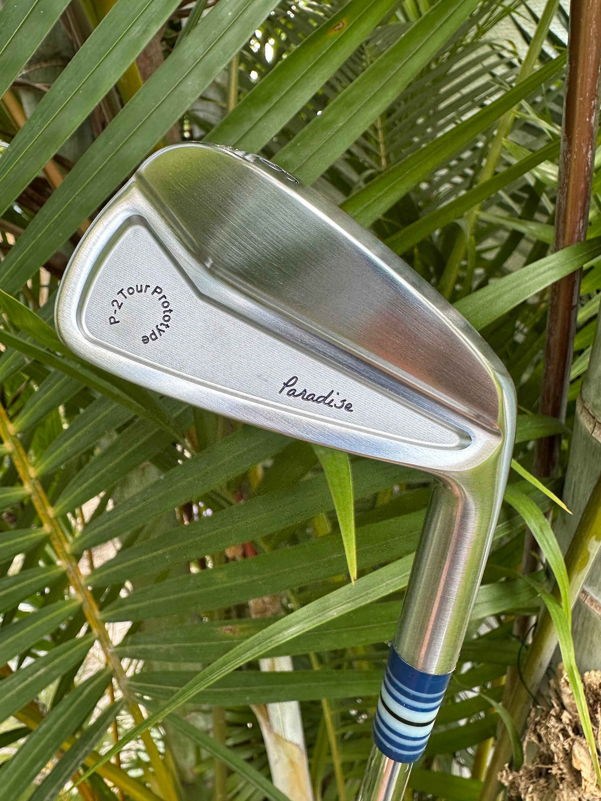 Paradise P-2 cavity back milled irons full set