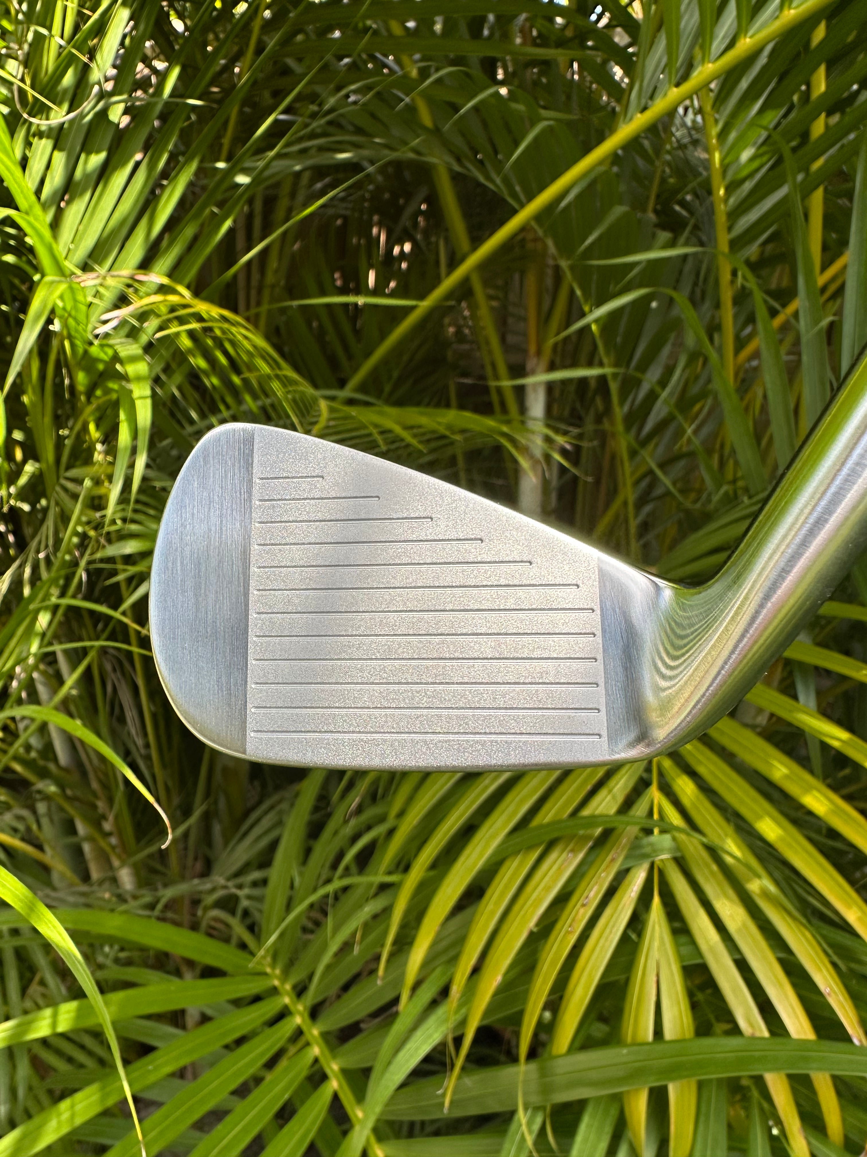 Paradise P-2 Cavity Back Irons - Full Set: 4 - PW