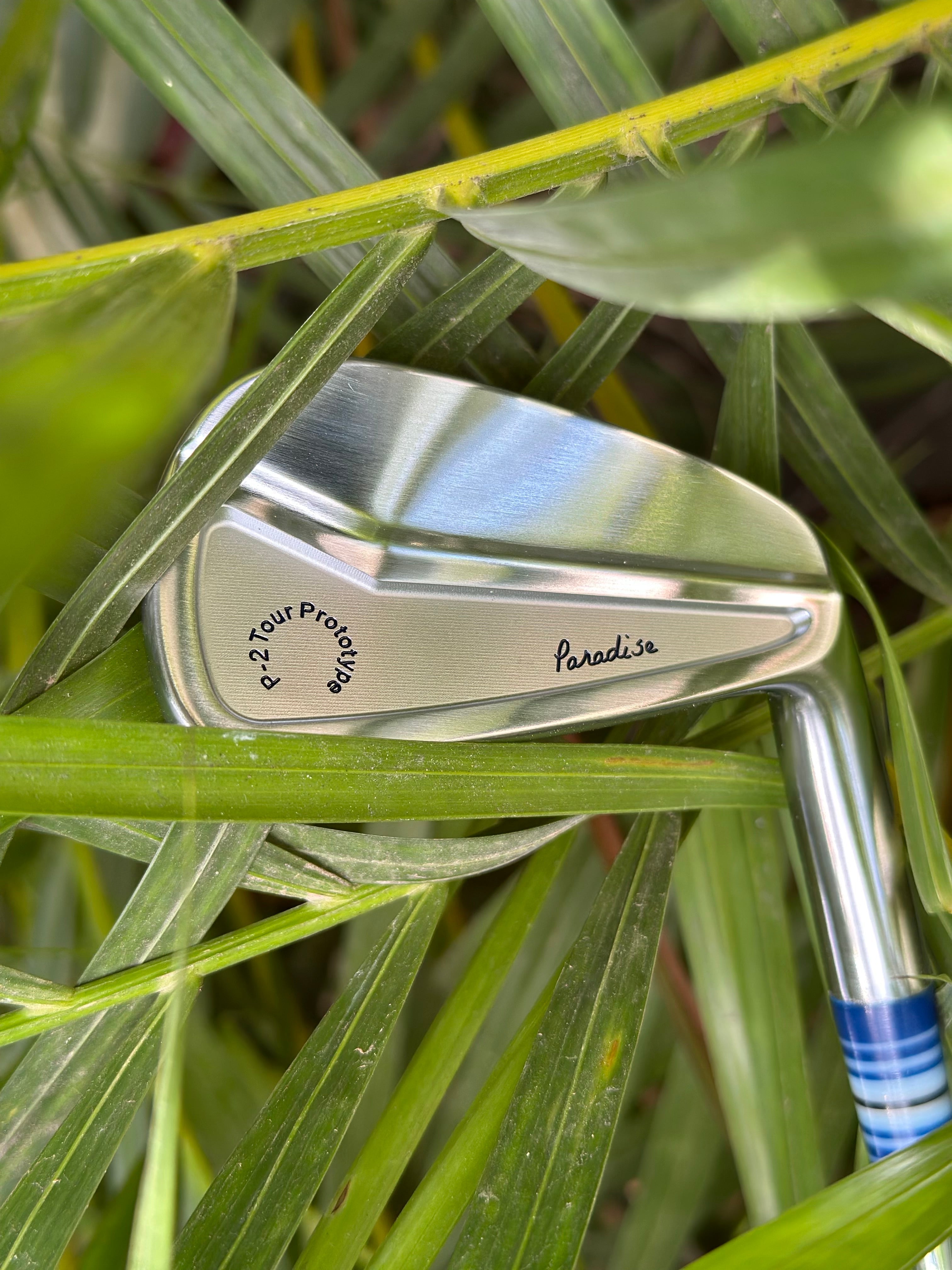 Paradise P-2 Cavity Back Irons - Full Set: 4 - PW