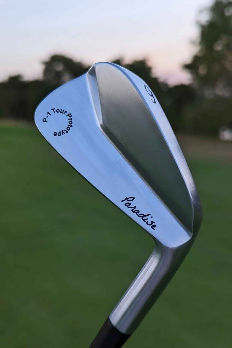 P-1 Irons