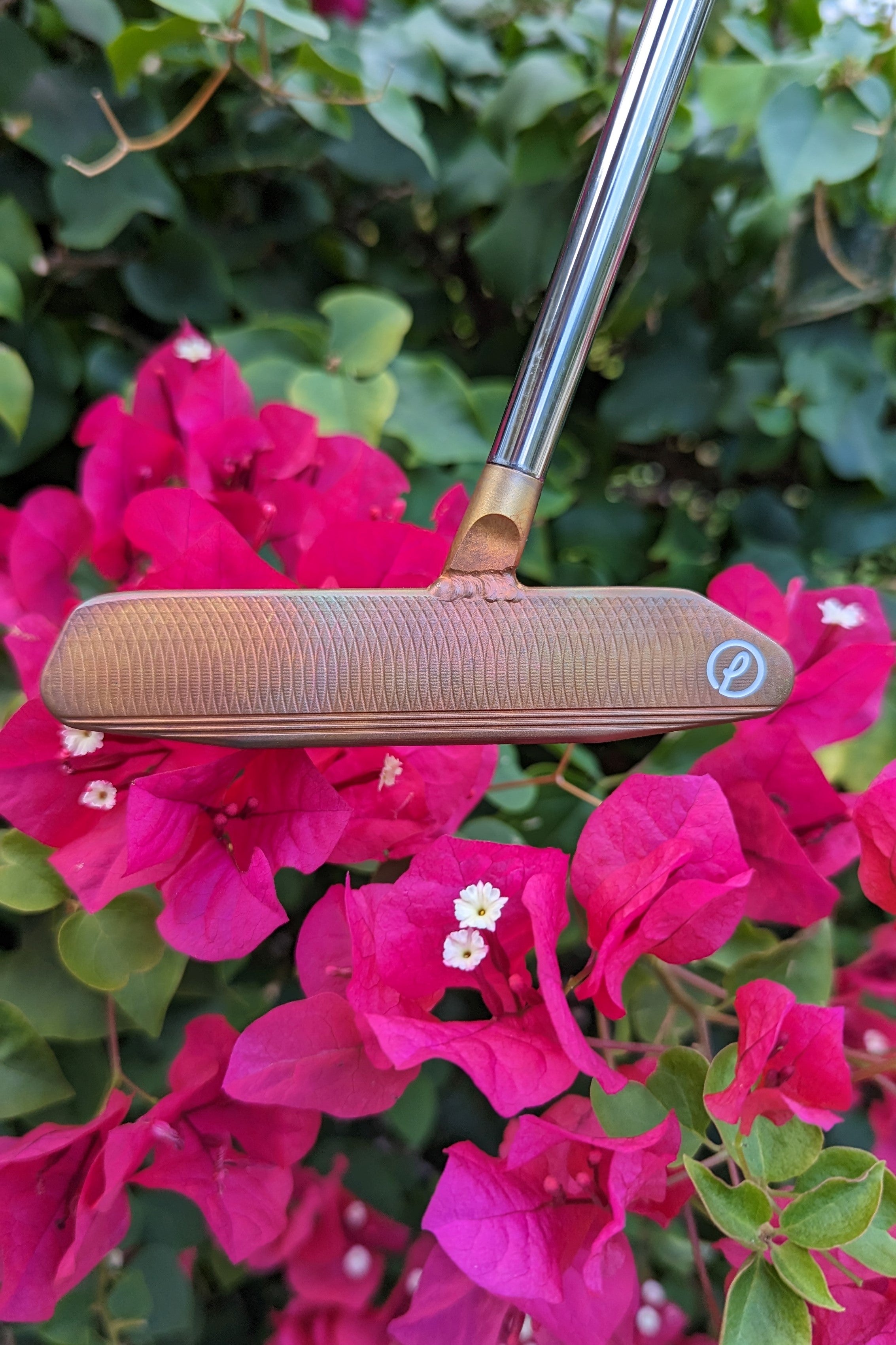 Cathedral Center Shaft - Cahow Prototype