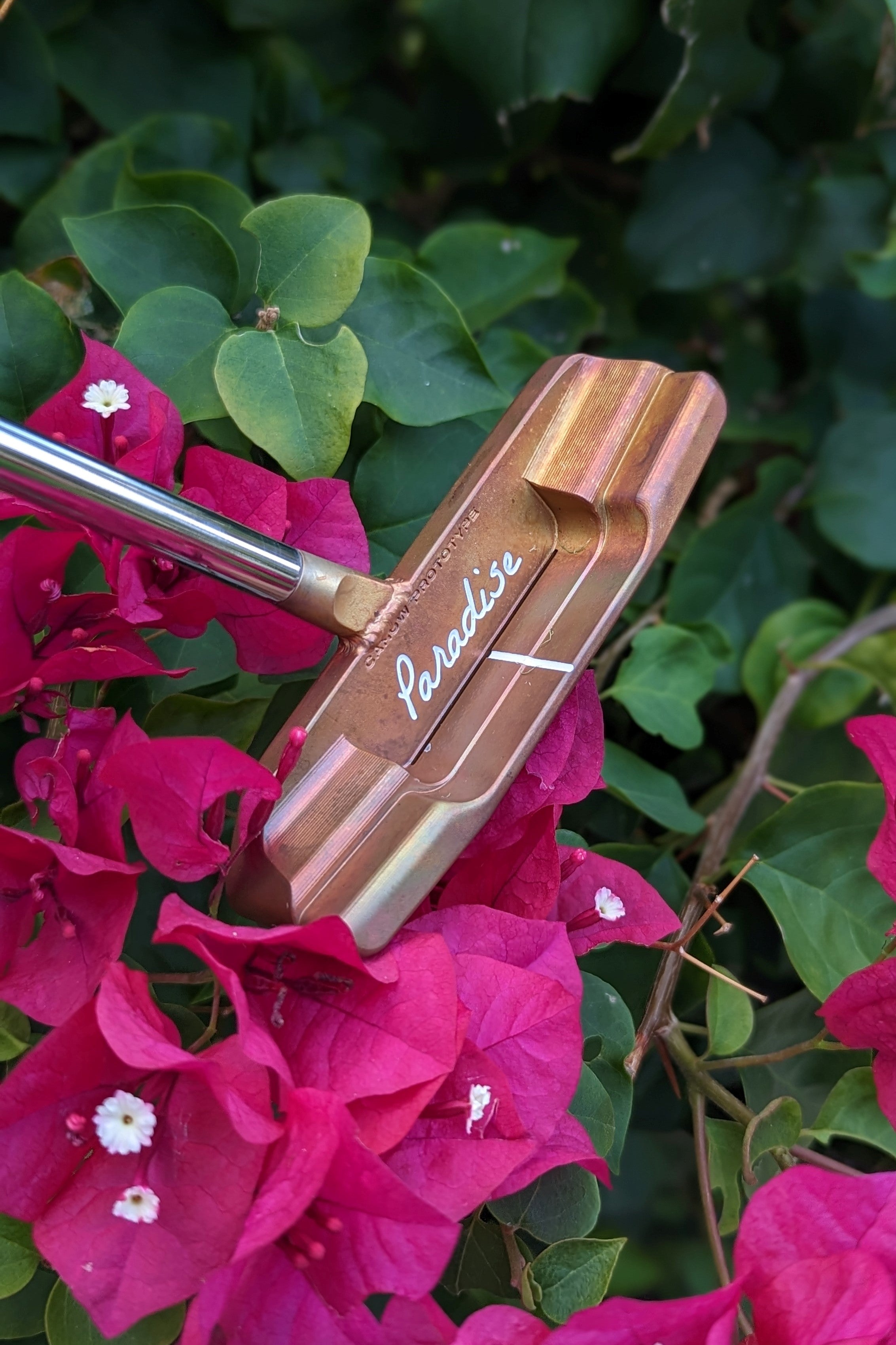 Cathedral Center Shaft - Cahow Prototype