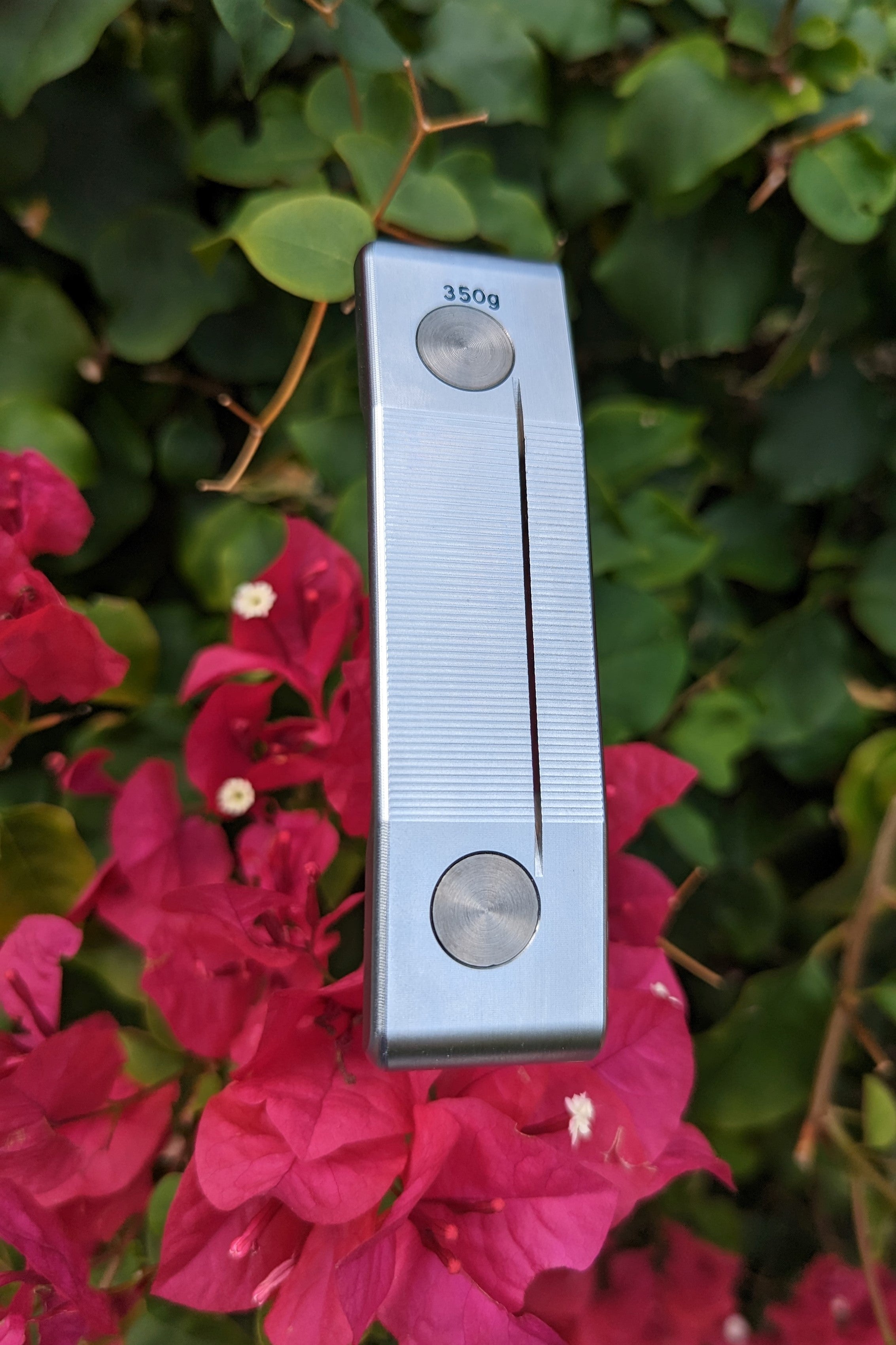 Grouper Weights - Cahow Prototype