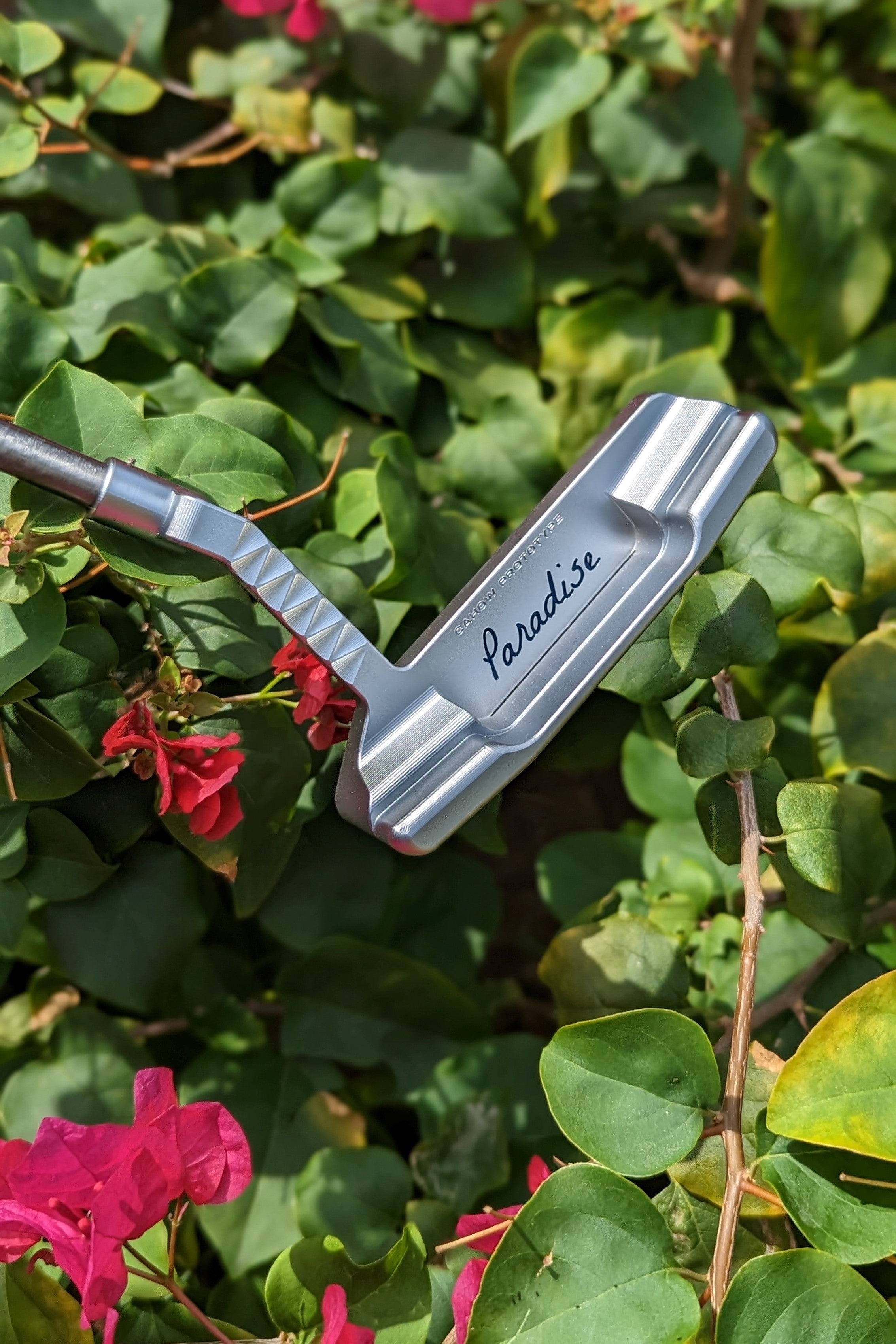 Grouper Weights - Cahow Prototype