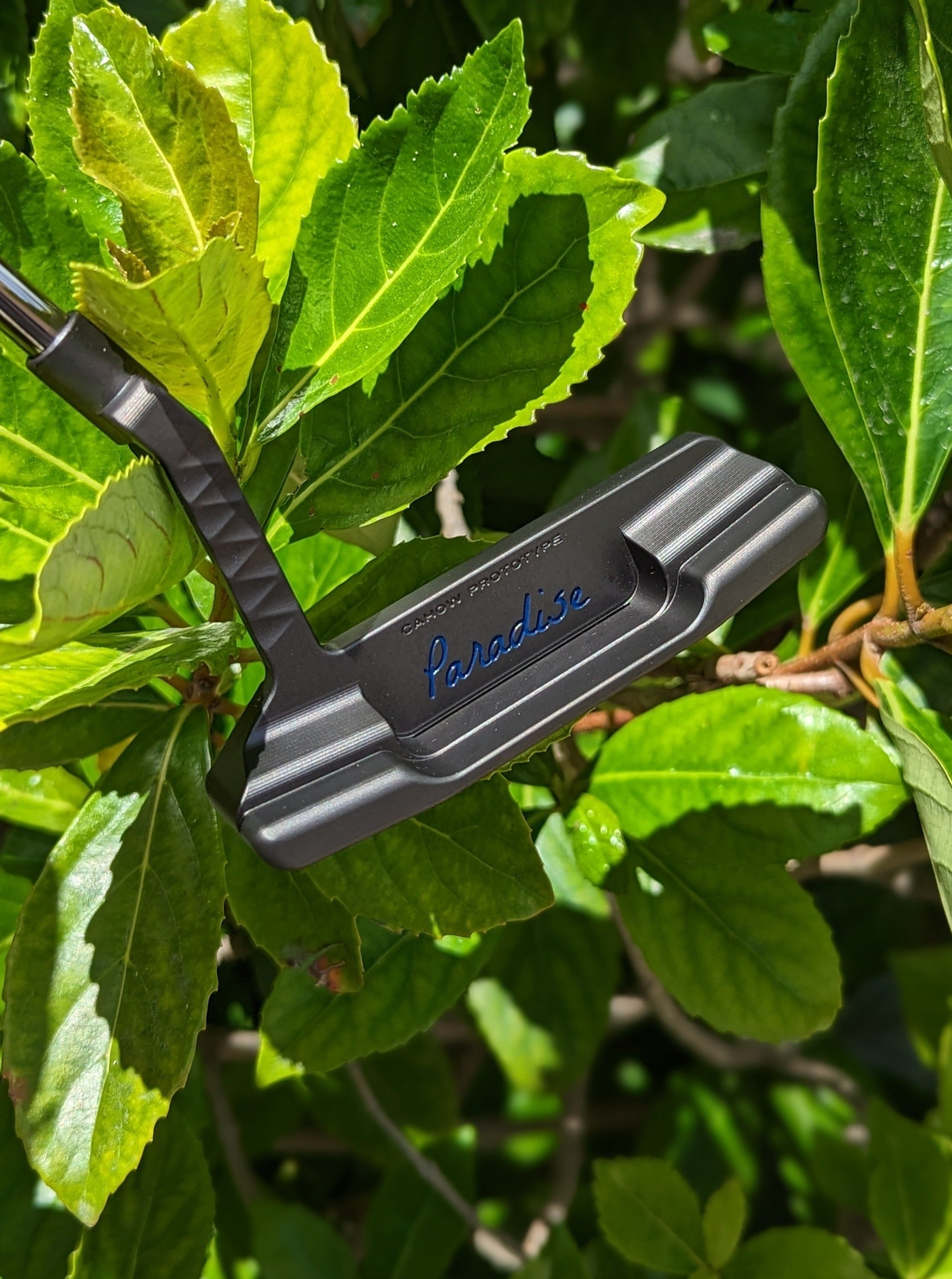 Naked Sparrow - Cahow Prototype