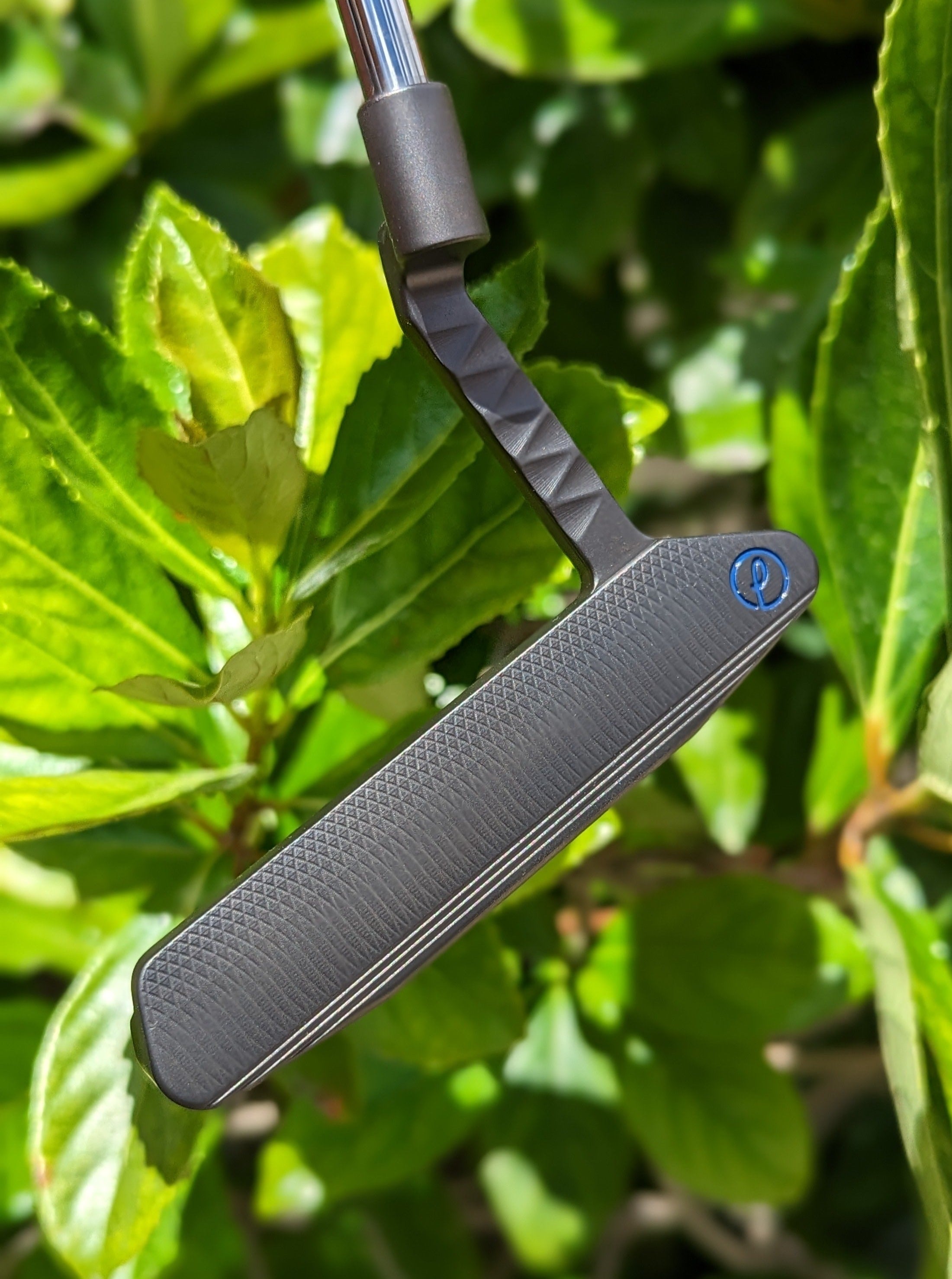 Naked Sparrow - Cahow Prototype